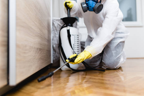 Best Cockroach Control Services  in West Unity, OH