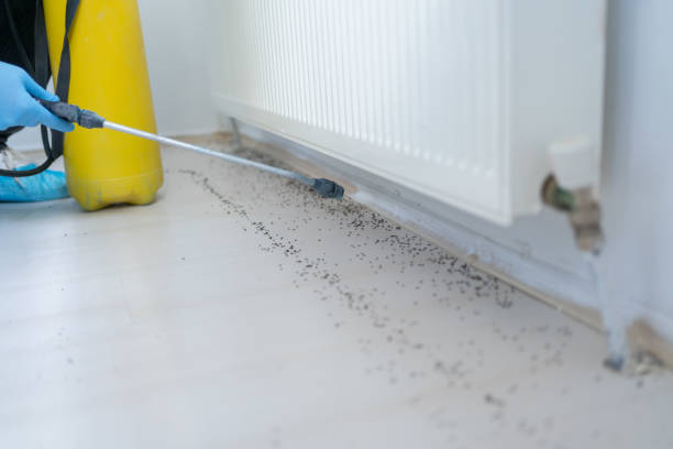 Best Cockroach Control Services  in West Unity, OH