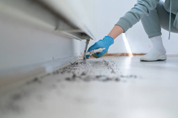  West Unity, OH Pest Control Pros